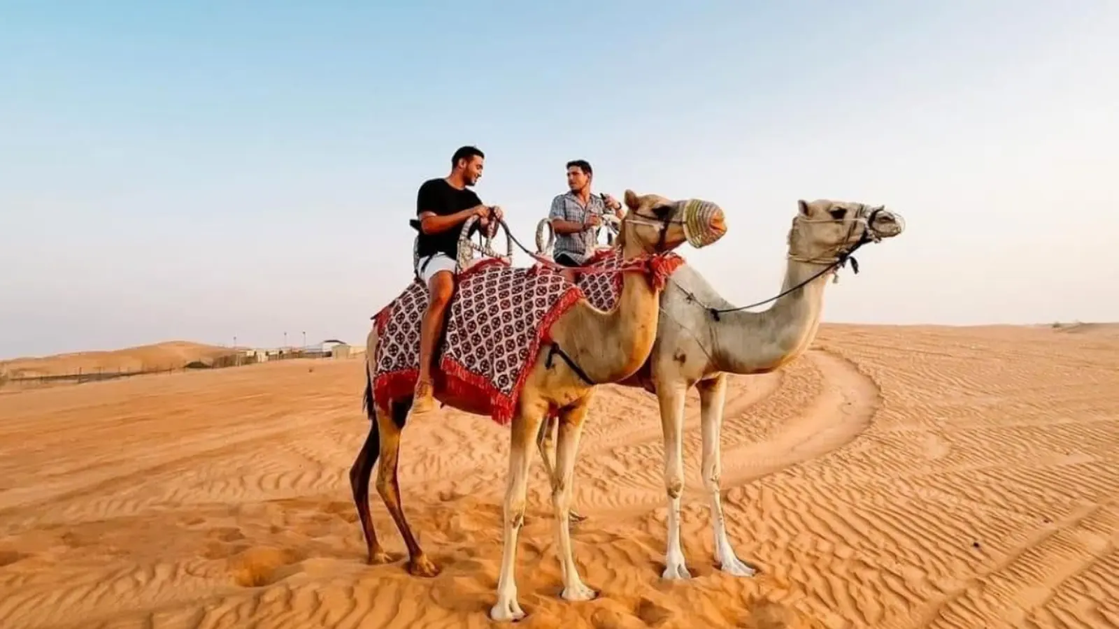 Desert Camel Ride