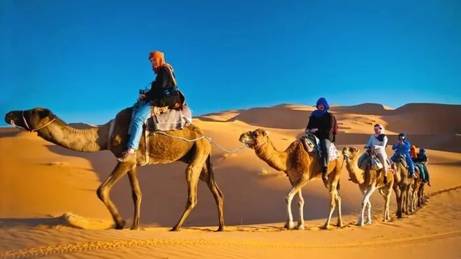 JBR Beach Camel Ride