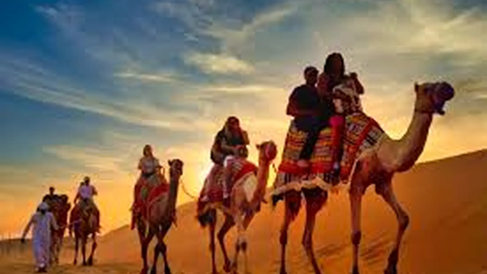 Camel ride in Dubai desert at sunset