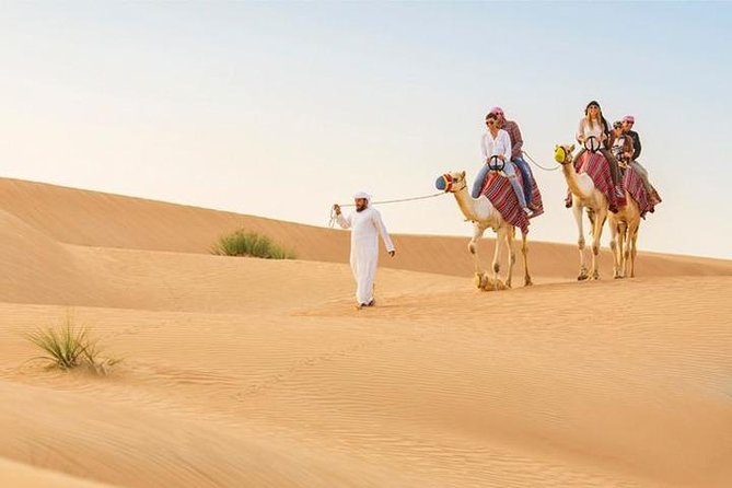 Camel Ride in Desert 20 – 25 min