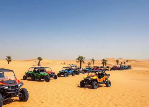 Dune Buggy Tour Pickup Near The Springs Dubai